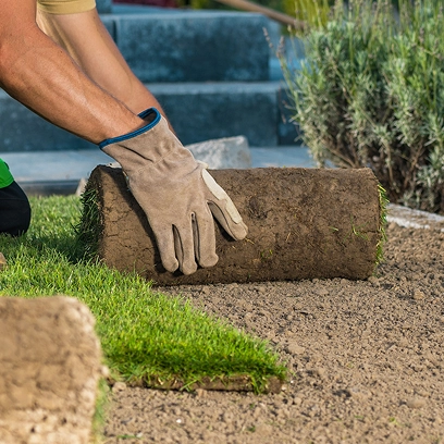 Lawn Care